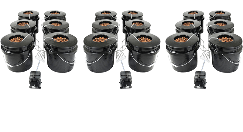 Hydroponic Gardening Simplified